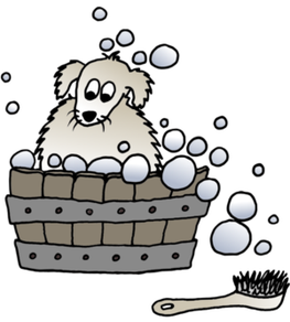 Den Hund waschen - DipthDesign Hundehalsband Shop