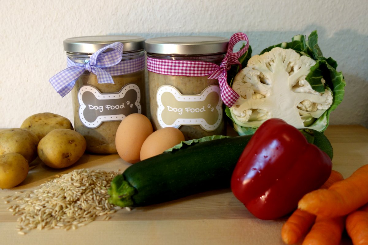 DipthDesign Hundehalsband Shop - Hundefutter selber machen - Kochen für den Hund