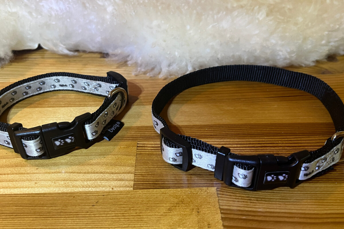 Wie wird ein Hundehalsband eingestellt?